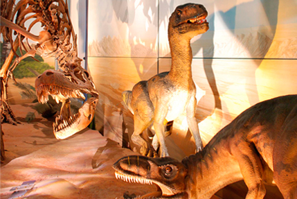 Музей естественной истории шарджа отдых лето