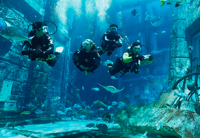 Дайвинг дубай