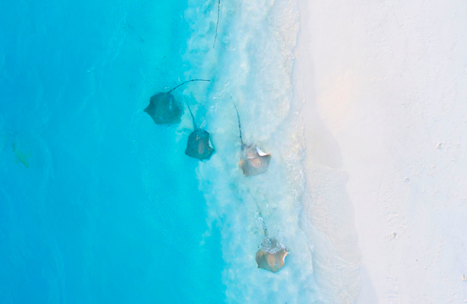 купаться в море на мальдивах осенью