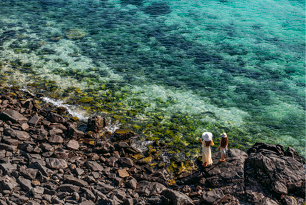 дайвинг и снорклинг море в шардже