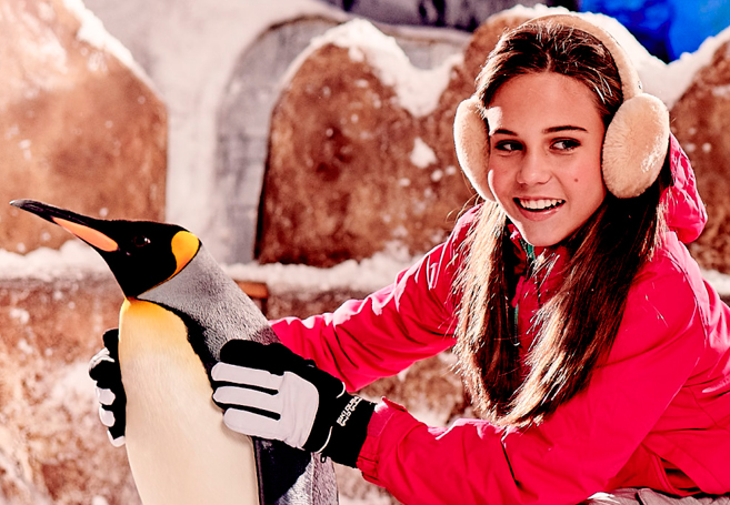 туры в Ski Dubai покататься на лыжах в ОАЭ летом