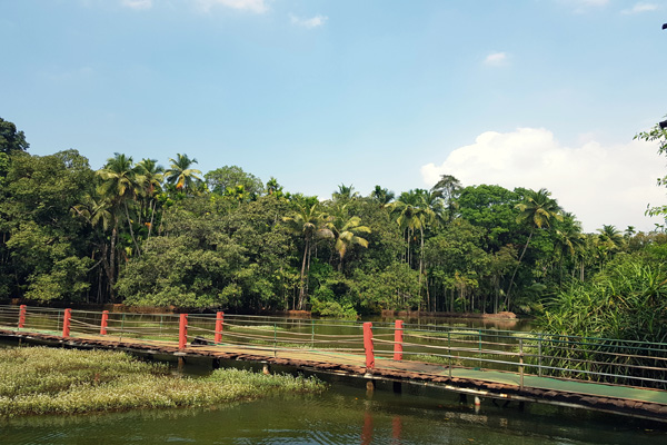 Плантации Гоа